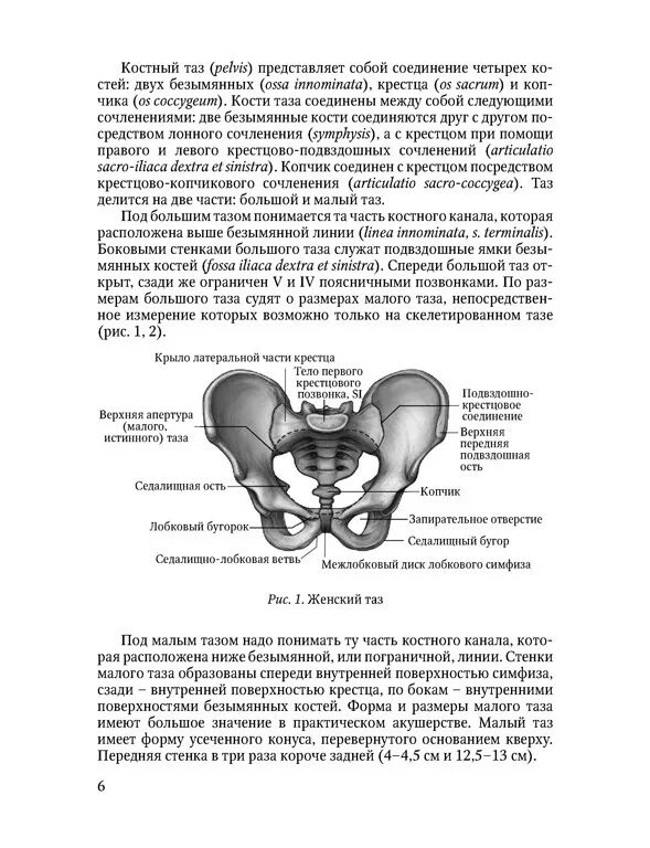 Размеры малого таза таблица. Таз в целом анатомия строение. Пограничная линия таза анатомия. Большой и малый таз границы. Плоскость входа малого таза.