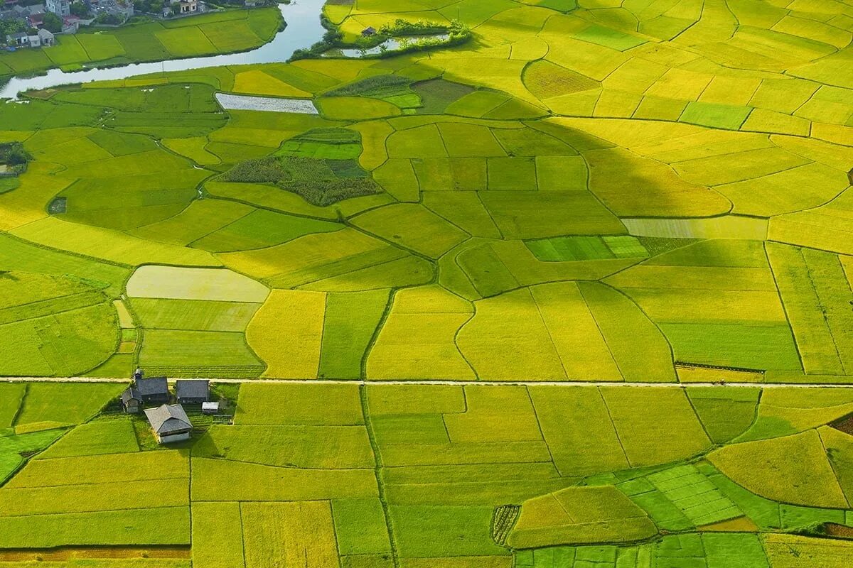 Random fields