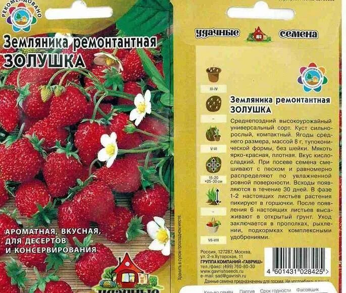 Сорта ремонтантной клубники описание. Земляника Золушка (ремонтантная, безусая). Земляника ремонтантная Золушка характеристики. Земляника Золушка описание. Земляника Садовая Золушка.