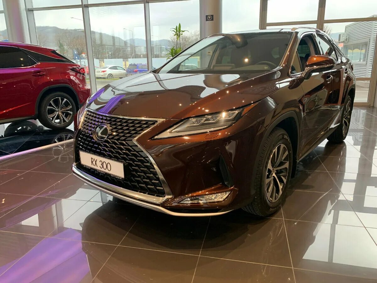 Лексус РХ 300 2019 коричневый. Лексус РХ 300 2020 коричневый. Lexus RX коричневый. Лексус коричневый. Lexus rx 2019