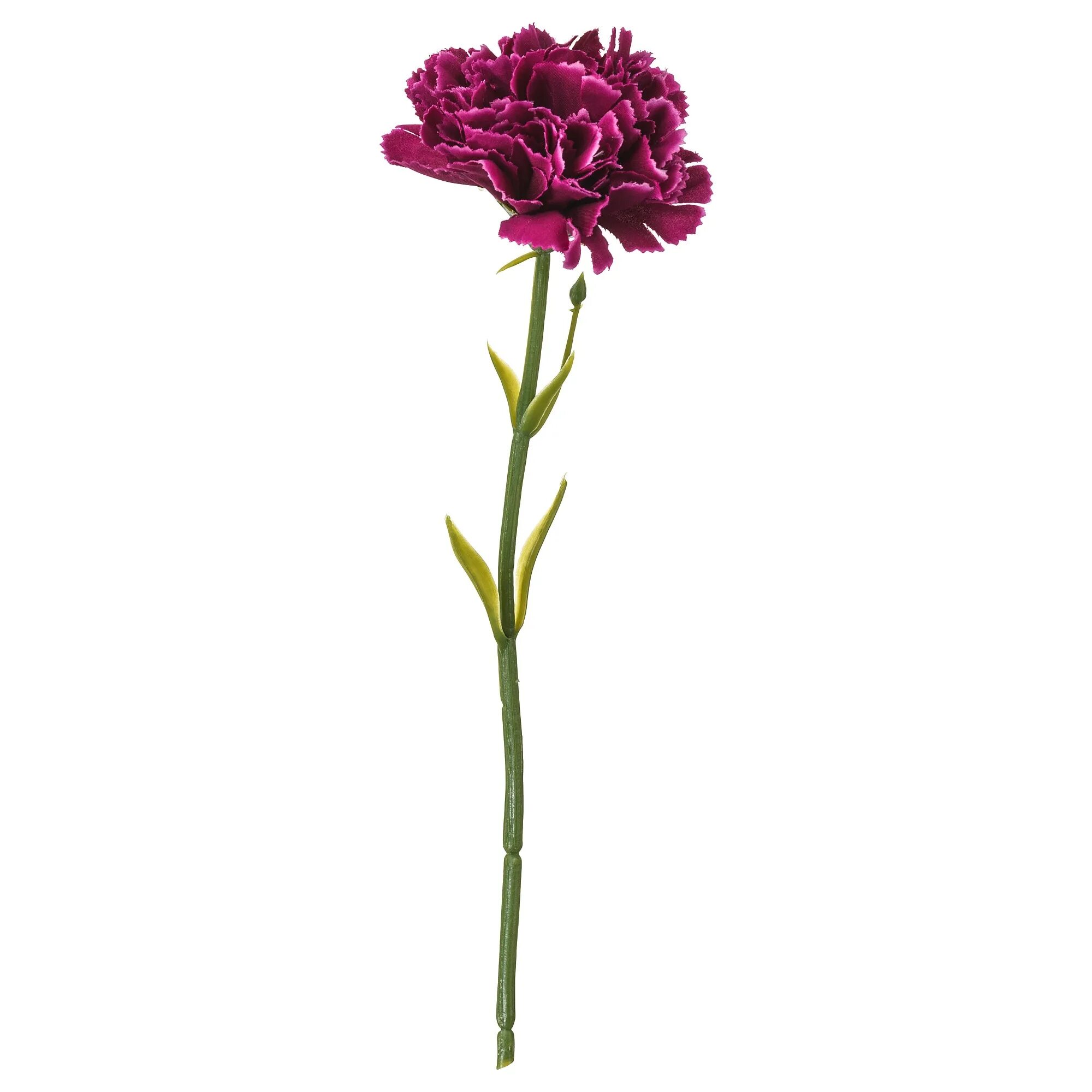Smycka СМИККА. СМИККА икеа. Диантус стебель. Гвоздика (Carnation) Igloo Desire Flowers SL (VKT). Гвоздика живая купить
