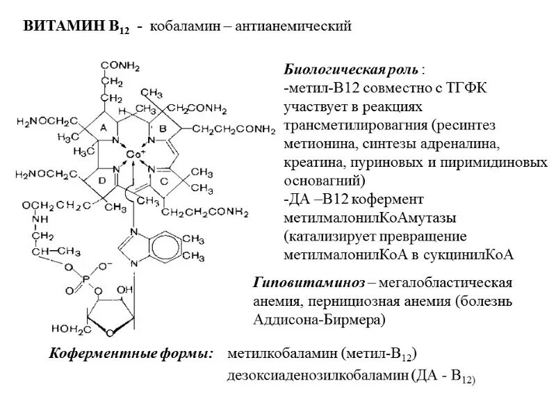 Синтез витамина б. Кофермент витамина в12. Витамин в12 структурная формула. Витамин б12 структура. Структура витамина в12.