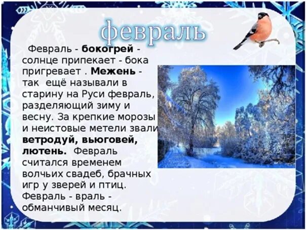 Зимний месяц февраль. Февраль в старину. Информация о феврале месяце для детей. Название зимних месяцев. Описание декабря месяца