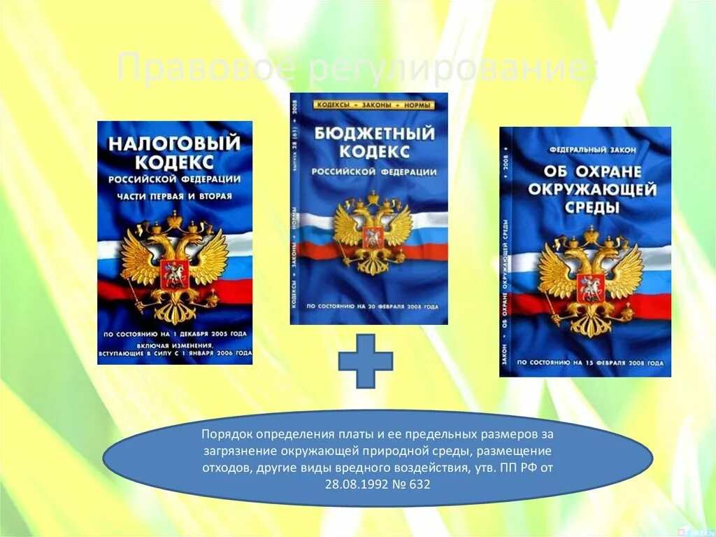 Закон об охране окружающей среды. ФЗ 7. Законодательство РФ В области охраны окружающей среды. Основные положения федерального закона об охране окружающей среды.