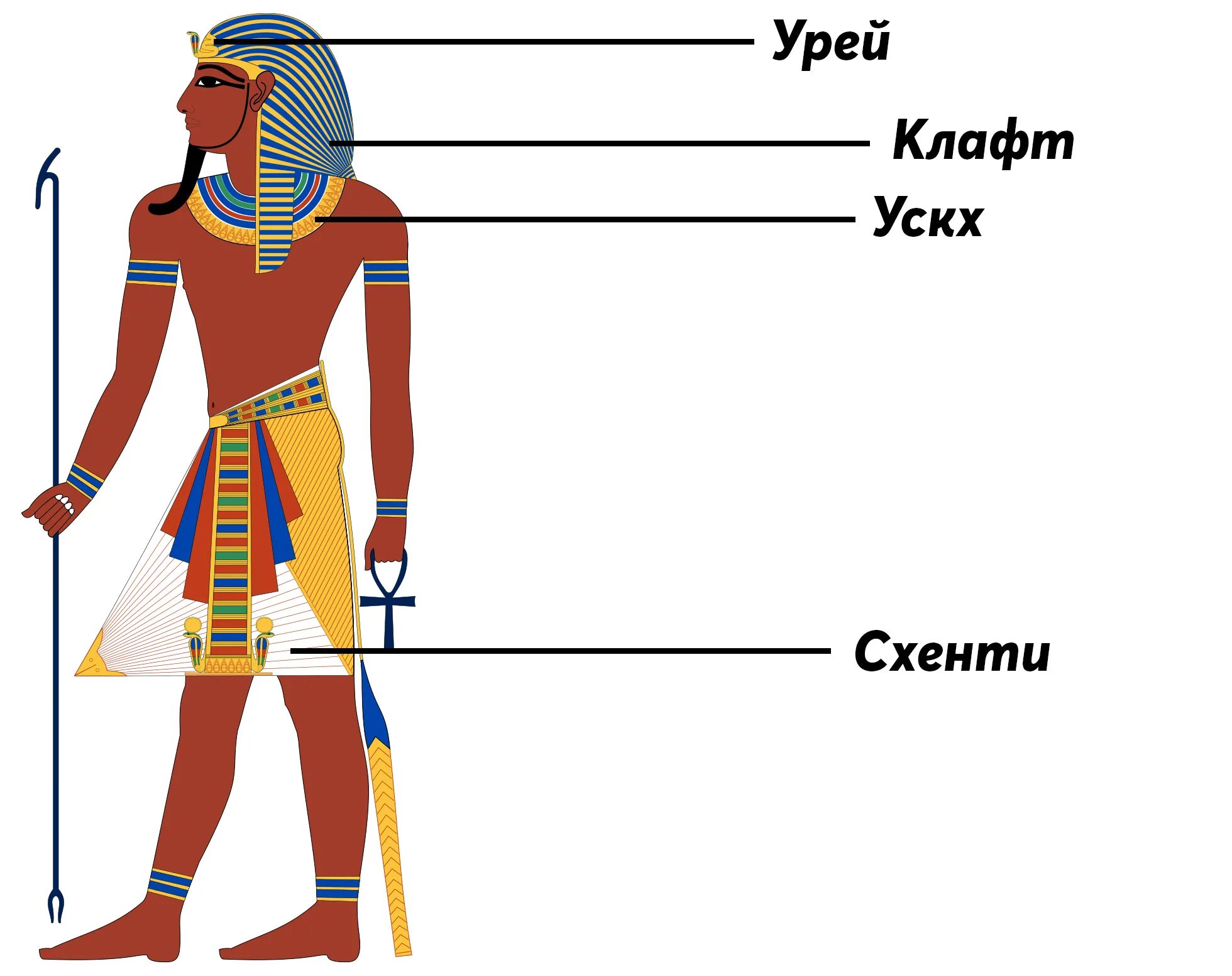 Где правили фараоны. Древний Египет схенти фараона. Клафт фараона в древнем Египте. Одеяние фараона древнего Египта. Одежда древних египтян фараон.