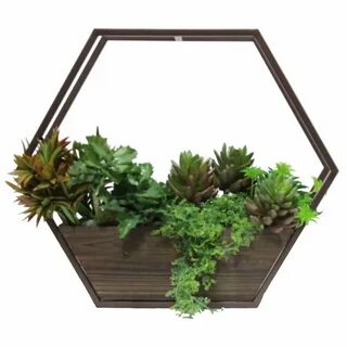 Plant w
