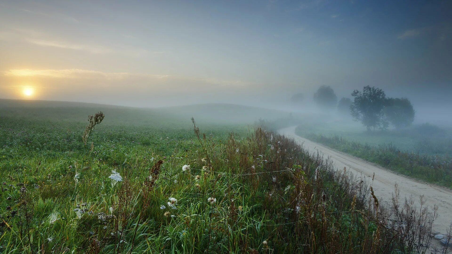 Утренний туман. Утреннее поле в тумане. Туманное летнее утро. Луг туман. Твой шепот в тумане