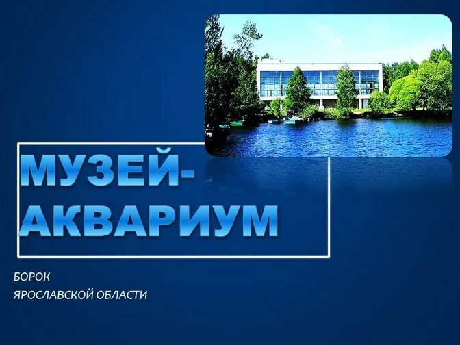 Борок Ярославская область институт внутренних вод. Борок институт биологии внутренних вод. Борок Ярославская область музей. Музей аквариум Борок.