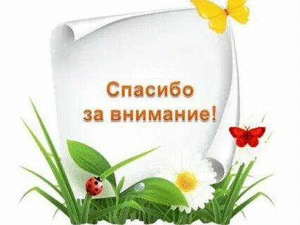 Спасибо за внимание растения