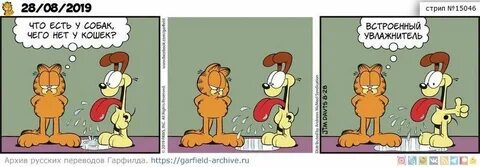 Переведи cat dog