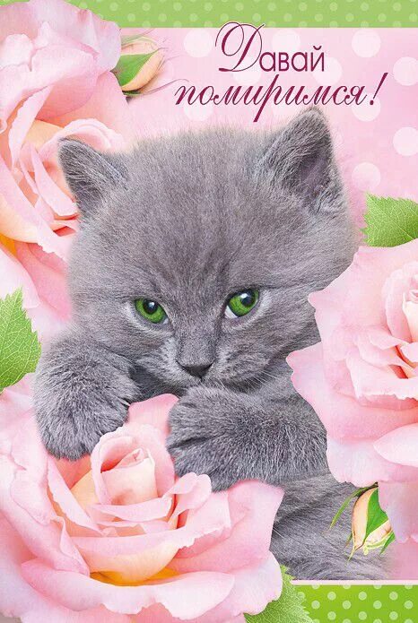 Бесплатная открытка прости сестра. Открытка "прости". Открытка с котиком прости. Для самой любимой котик. Извинения с котятами.