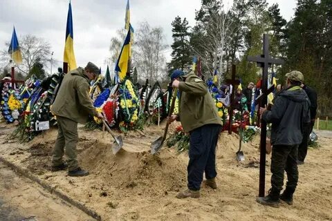 Бачила украинский