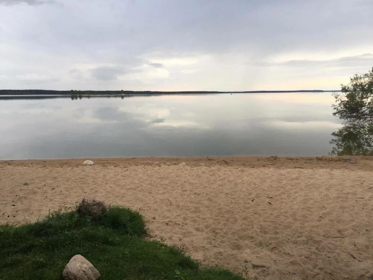 Вилейское водохранилище. Сосенка вилейский. Сосенка вилейский. Сосенка. Вилейское водохранилище минск.