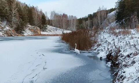 Вода каменск уральский