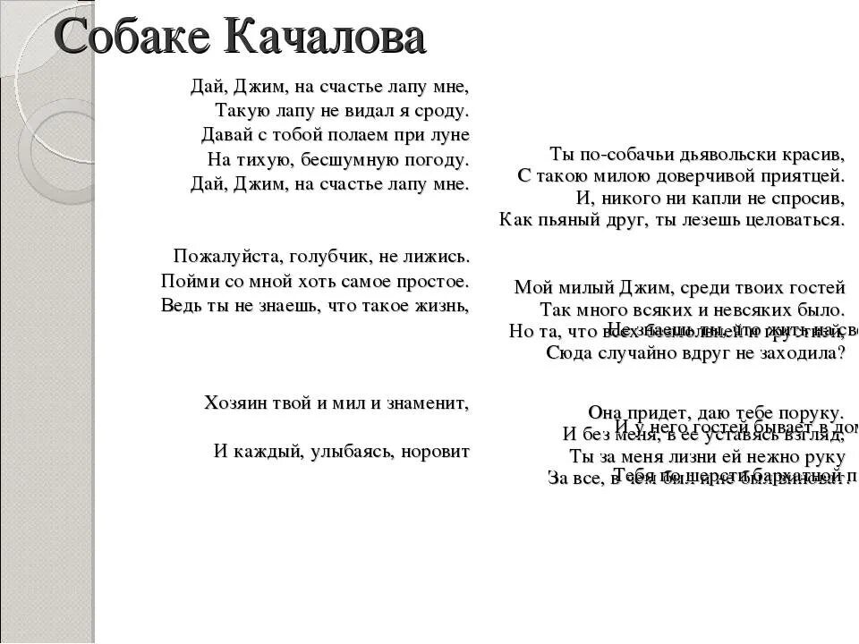 Анализ стихотворения есенина собака. Собаке Качалова Есенин. Есенин стих собаке Качалова текст. Стих Есенина собаке Качалова. Стихотворение собаке Качалова.