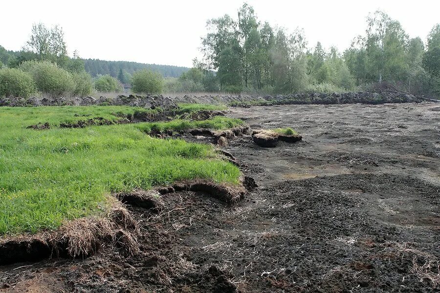 Торфяная топь. Торфяные болотные почвы. торфяно болотистые почвы. торфяная трясина. торфяно-болотные пустоши.