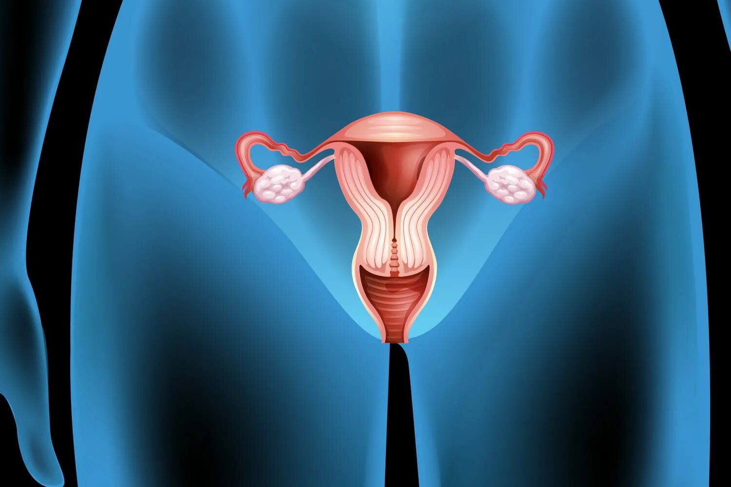 Здоровые женские органы. Здоровая репродуктивная система женщины.