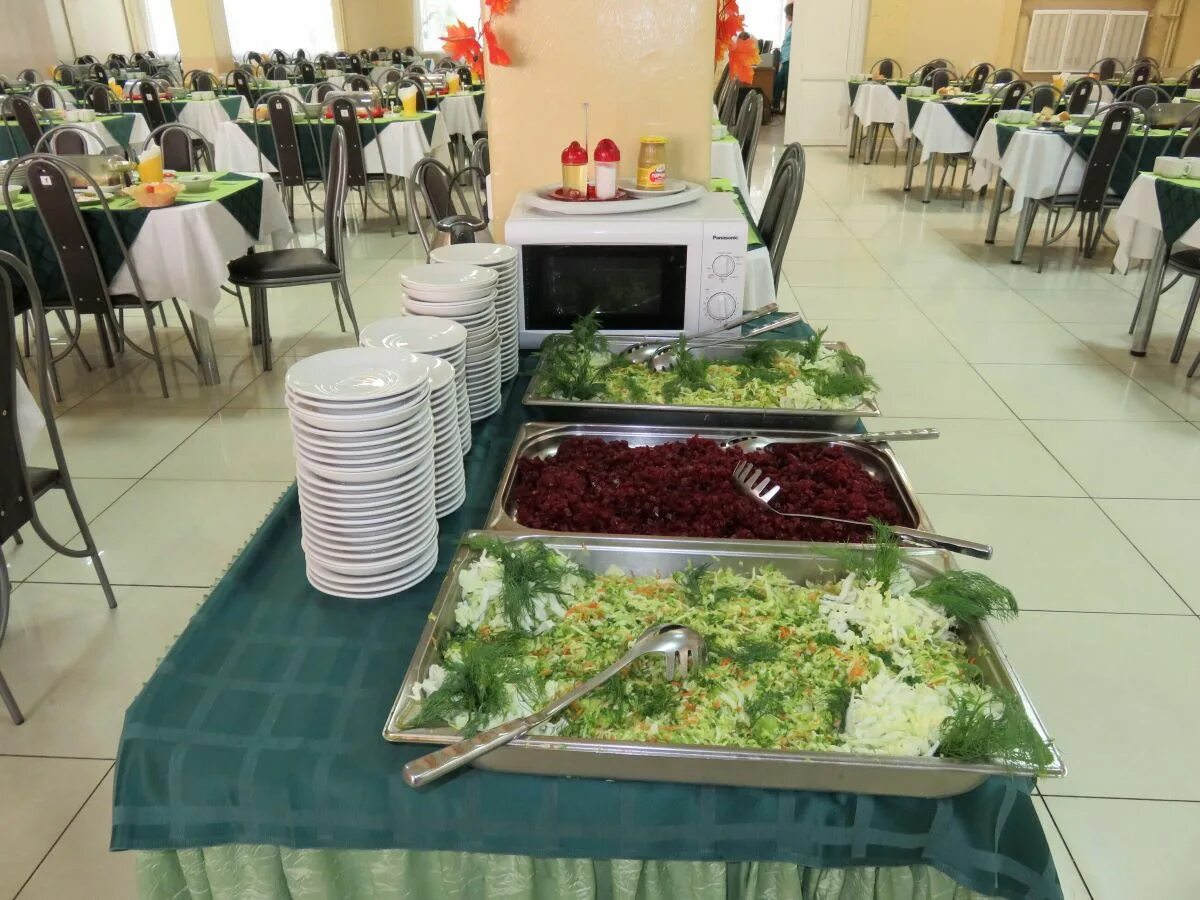 Чёнки санаторий беларусь. Гомель санаторий ченки официальный сайт. Санаторий чёнки гомельская область. Санаторий беларус чёнки гомельская. Сайт санатория ченки гомельская область.