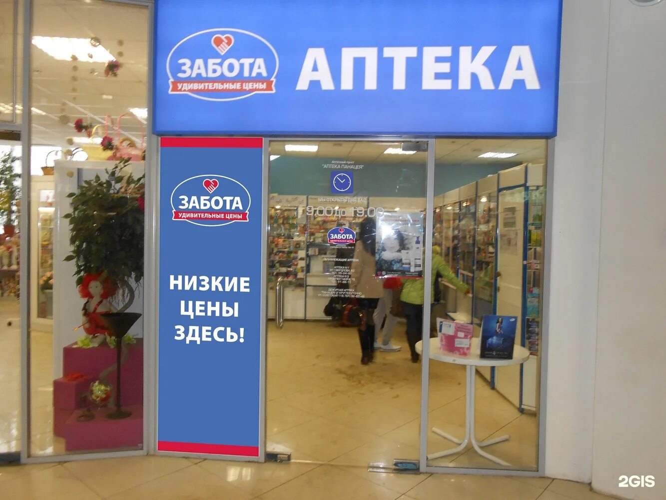 аптеки кострома режим. новосибирск ул есенина 1г. аптека на костромской кострома. аптеки кострома режим. кинешемское шоссе 35 кострома аптека.