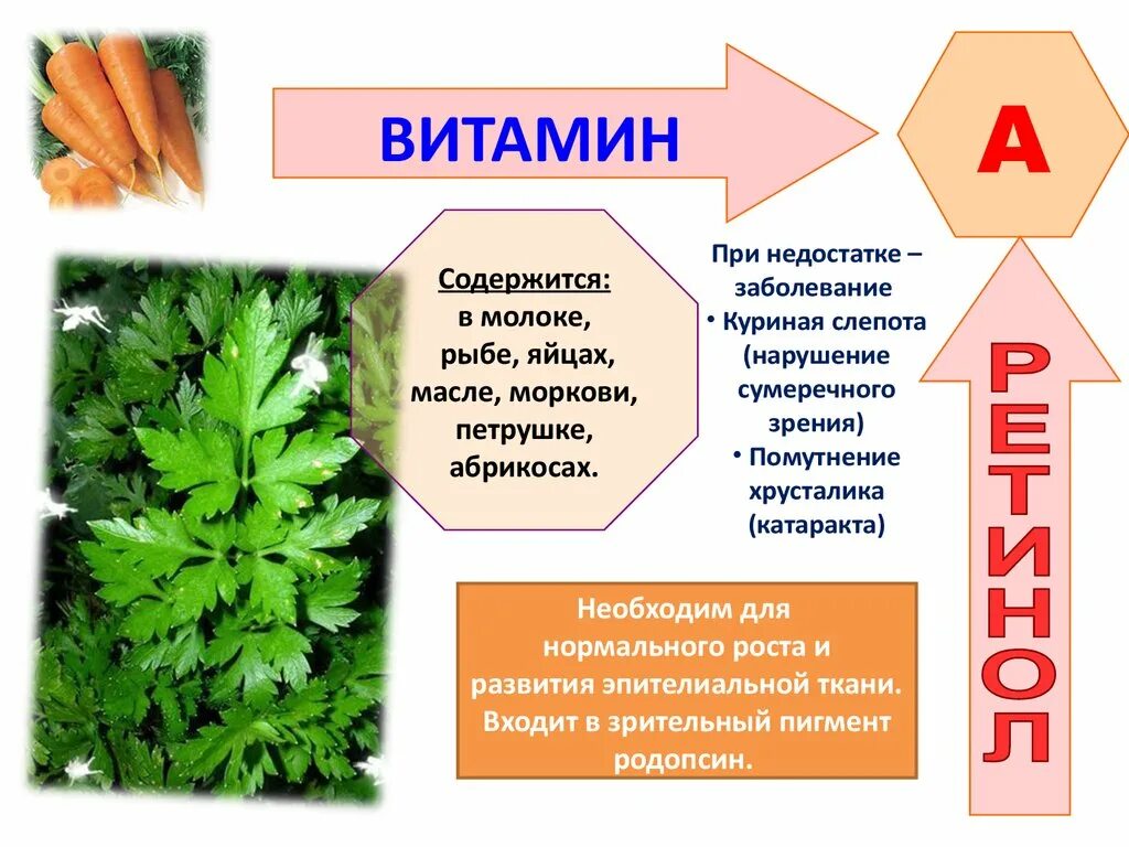 Заболевания от нехватки витаминов. Заболевания при недостатке витамина а. Заболевания при нехватке витаминов. Болезни при дефиците витаминов. Недостаток витамина а и зрение