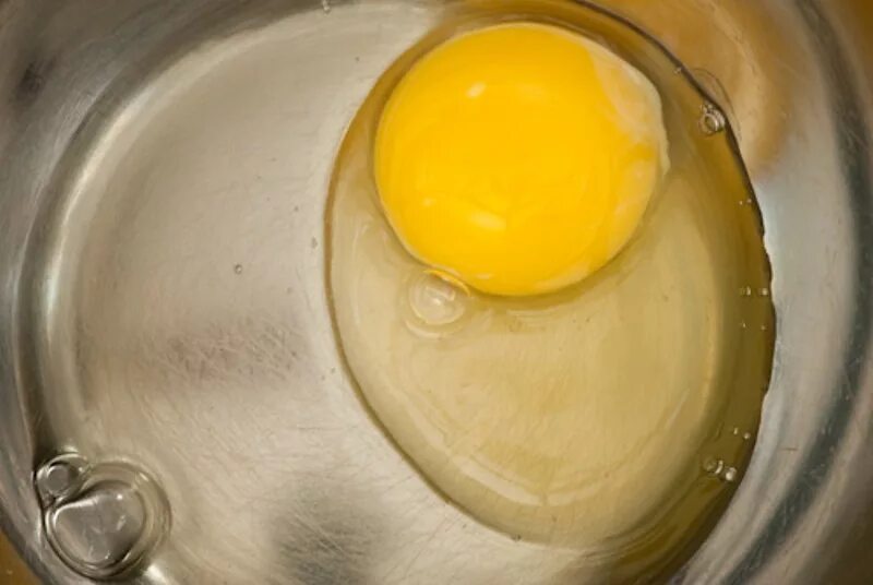Гельминты в курином яйце. Яичные белки.
