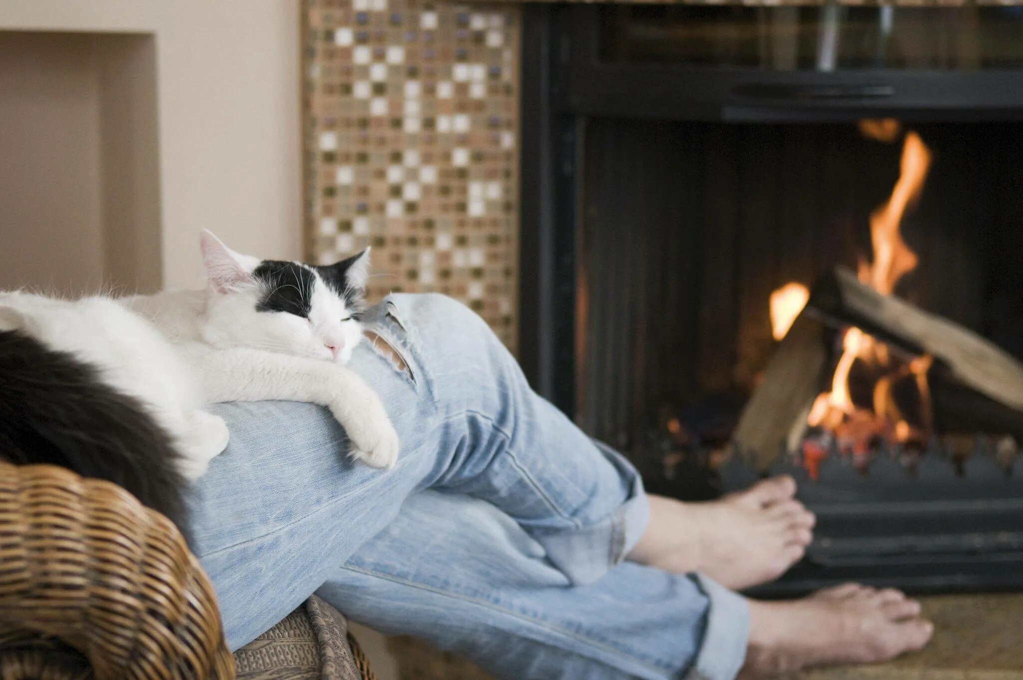 Включи человек и кот. Кошка возле камина. Мужчина в кресле у камина. Кошка уют. Кошка лежит на коленях.