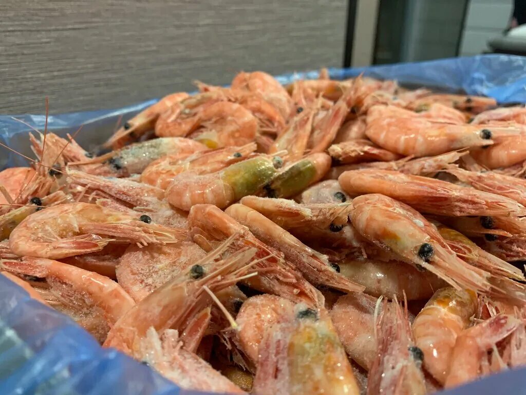 рыба тут мурманск