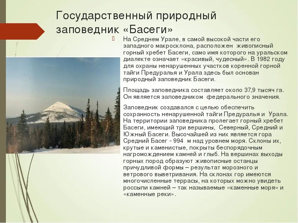 Заповедник басеги сообщение. Заповедники пермского края басеги кратко. заповедник басеги краткое сообщение. уральские заповедники сообщение. заповедники урала сообщение.