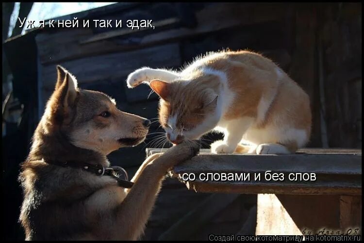 Не так уж. На земле друзей не так уж много опасайтесь потерять друзей стихи. Я к нему и так и эдак со словами и без слов. Я не думаю о плохом. Всё не так.