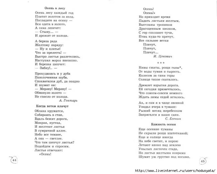 Золотая осень стих. Текст песни осень в лесу. Текст песни что такое осень. Золотая осень текст. Текст песни осень в лесу.
