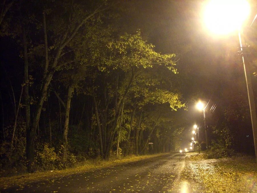 В темное время суток и в пасмурную. Дорога с фонарями ночью. Ночная дождливая дорога. Дорога дождь ночь. Дорога дождь вечер.