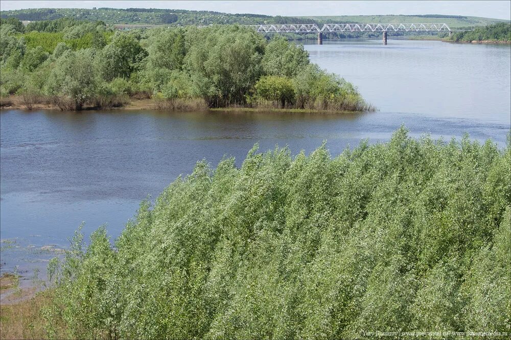 Уровень реки вятки в вятских полянах. Река Вятка Вятские Поляны. Река Вятка город Вятские Поляны. Вятские Поляны река. Река ашорма Вятские Поляны.