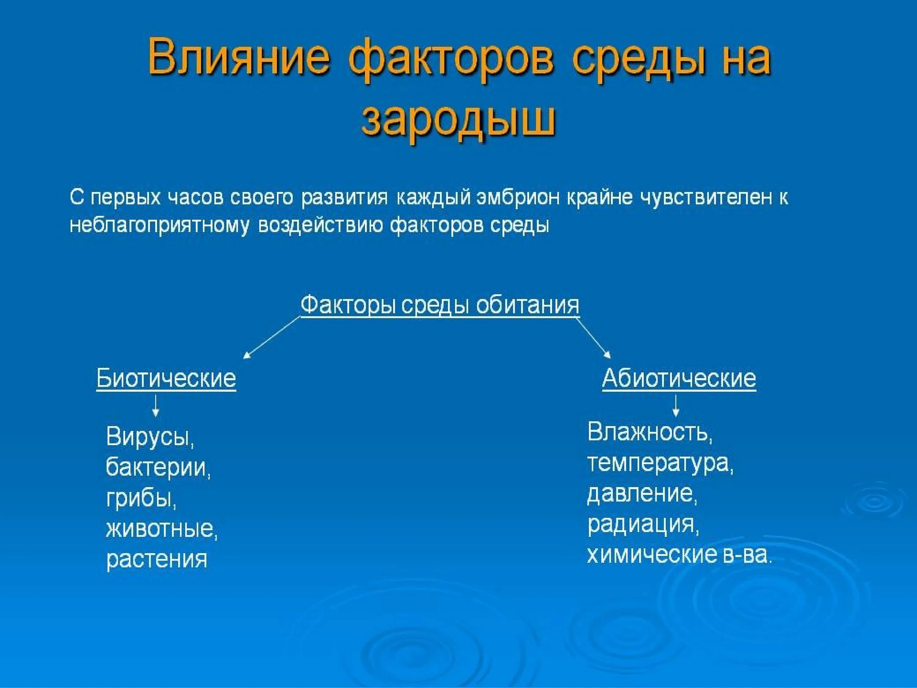 Влияние окружающей на развитие организмов. Влияние факторов среды на эмбрион. Влияние факторов среды на зародыш факторы. Влияние внешней среды на онтогенез. Влияние внешних факторов на эмбриональное развитие.