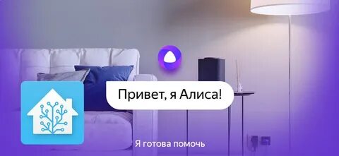 Алиса когда будет света