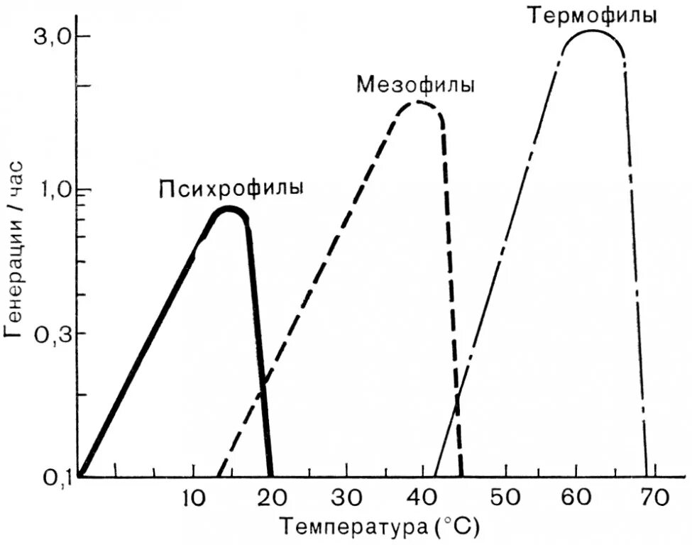 Температура при активности. Мезофилы термофилы. Психрофилы мезофилы и термофилы. Температурный Оптимум растений. Влияние температуры на Продолжительность жизни микроорганизмов.