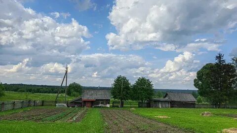 Висленев остров новгородская область