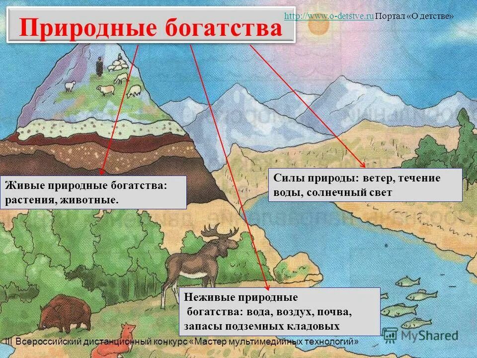 Природные богатства это определение. Сообщение богатство природы. Проект природные богатства 3 класс окружающий мир. Природные богатства и труд людей основа экономики 3. Доклад на тему природные богатства.