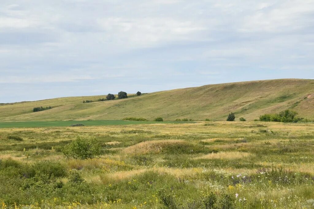 гора лыска красноярск. длинный овраг 5. длинный овраг 5. овражно-балочный рельеф нижегородской области. овраги татарстана.
