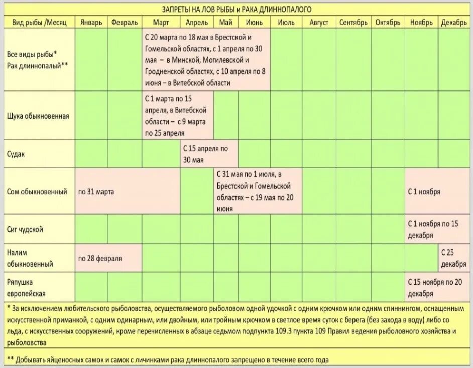 Нерестовый запрет 2024 липецкая область. Запрет на сома в,Белоруссии. Запрет на рыбную ловлю в 2024 году. Запрет лова рыбы в 2024 году. Запрет на ловлю воблы в 2024.