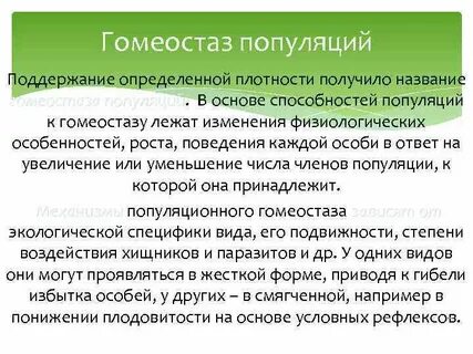 В основе способностей человека лежат