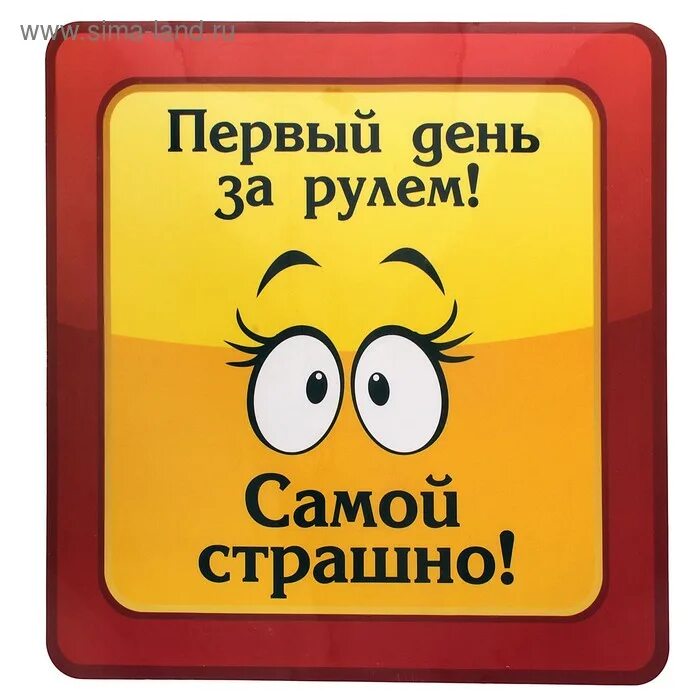 Первый день за рулем. Первый день за рулем. Первый день за рулём приколы. Первый день за рулем. Наклейка первый день за рулем.