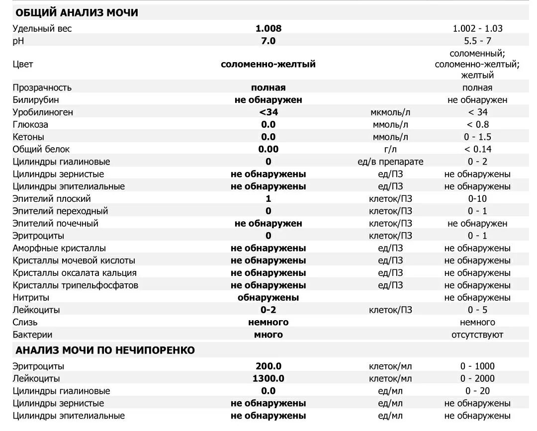 Сколько эритроцитов в моче. Лейкоциты 3 в моче норма. Расшифровка анализа мочи лейкоциты 2- 1 1. Анализ мочи расшифровка лейкоциты в моче. Норма лейкоцитов в моче в 1 мл.