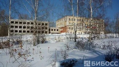 Ломоносова 98 березники