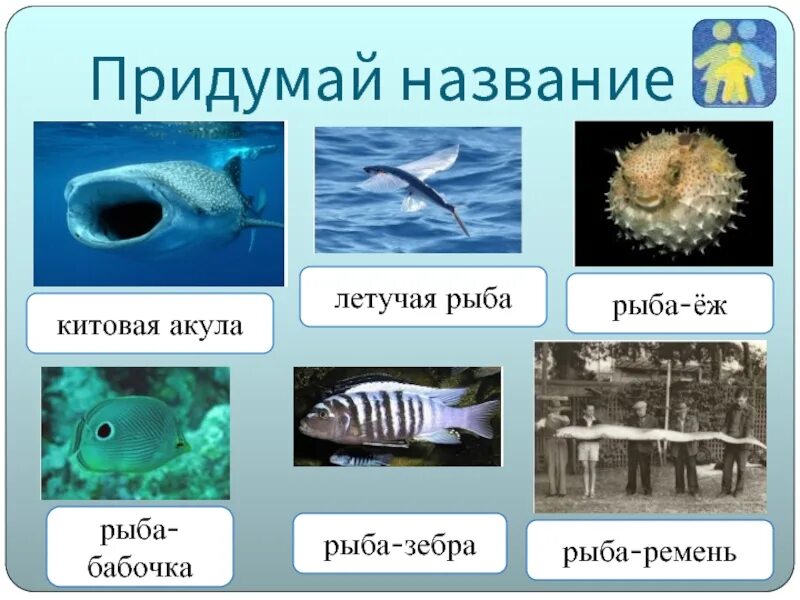 Fish name. Название рыбок. Название рыб. Имена для рыбок. Красивые имена для рыбок.