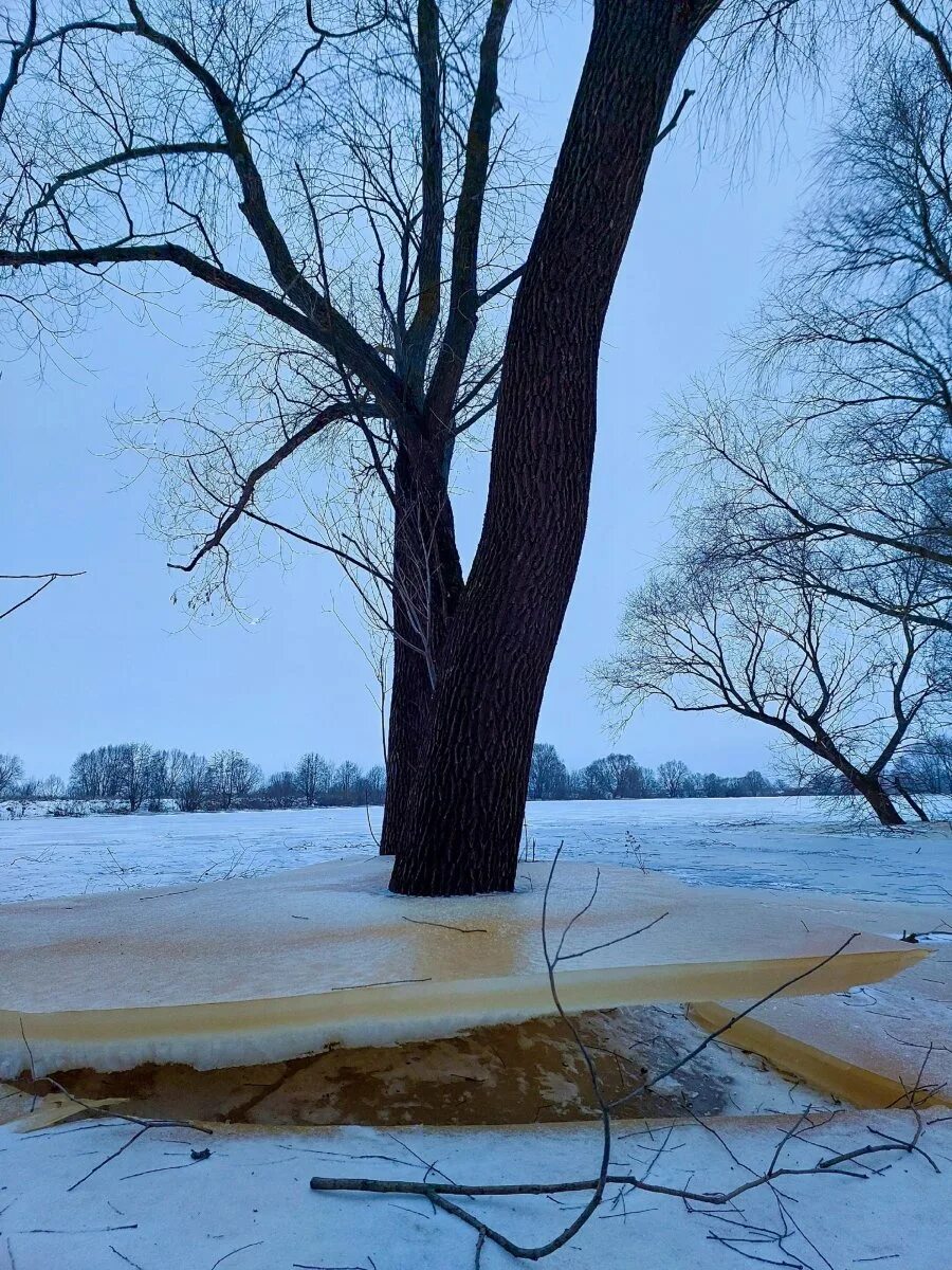 Солотча извилистая река. Лед на реке зимой. Рязань зима. Старица реки.