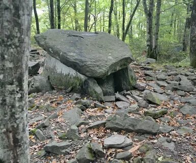 Лазаревское лесничество