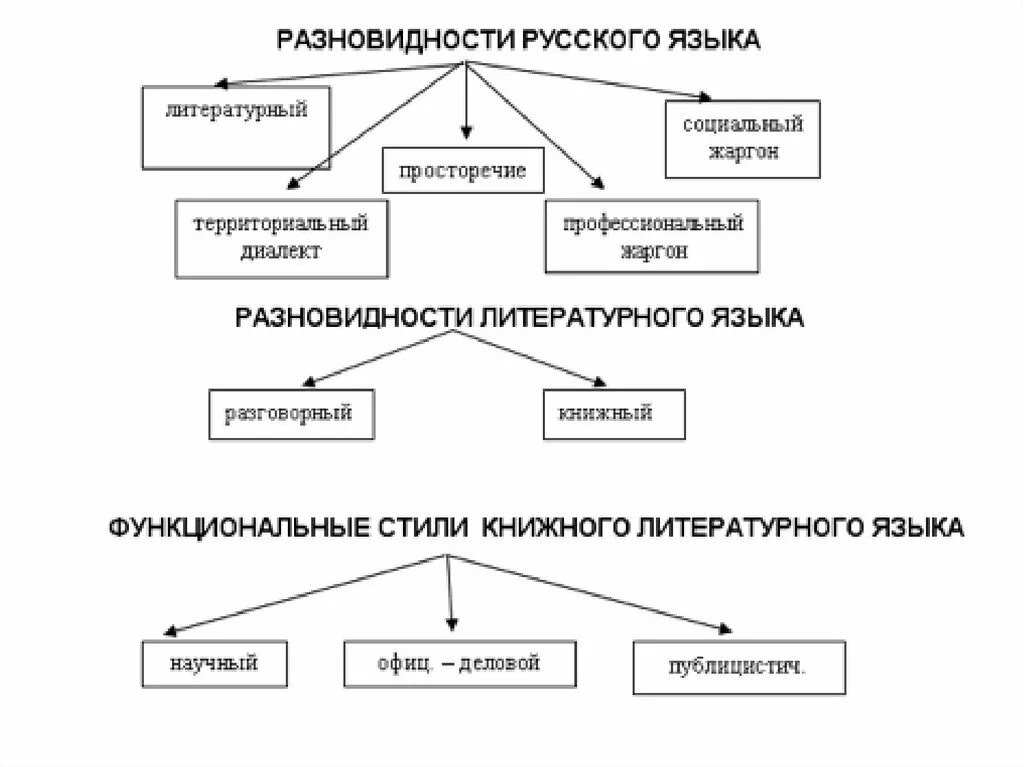 Разновидности литературного языка. Разновидности русского языка схема. Виды русского литературного языка. Вилы литературного языка.