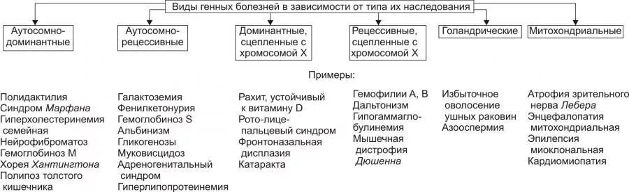 Классификация генных заболеваний по типу наследования