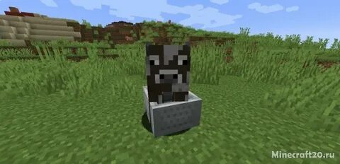 Entity 1.16 5