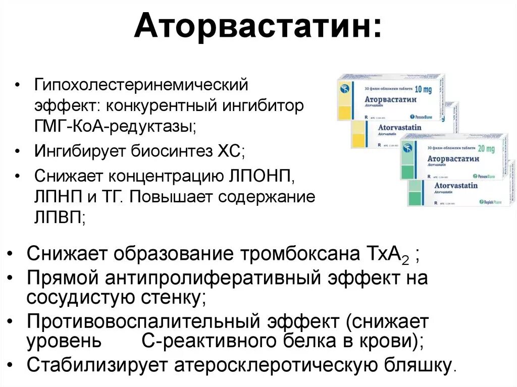 Аторвастатин побочные действия для мужчин. Аторвастатин фарм эффекты. Механизм действия аторвастатина. Аторвастатин фармакологические эффекты. Аторвастатин механизм действия.